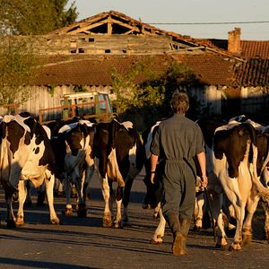 Foto O Pequeno Fazendeiro