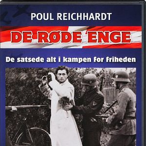 Foto A Terra Ficou Em Chamas