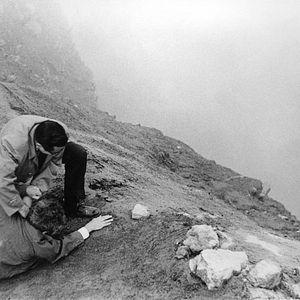 Foto Homem Mau Dorme Bem