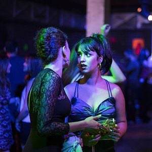 Foto A A Bela e os Cães