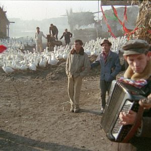 Foto I Even Met Happy Gypsies