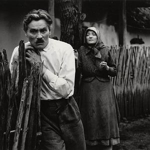 Foto Carrossel do Amor