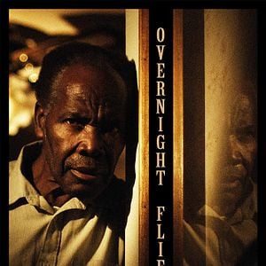 Foto Moscas Noturnas