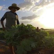 Foto Fonte da Juventude