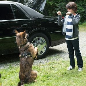 Foto Max 2: Um Agente Animal