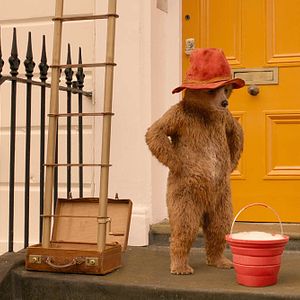 Foto Paddington 2