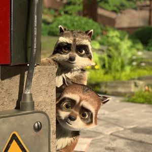 Foto Big Pai, Big Filho