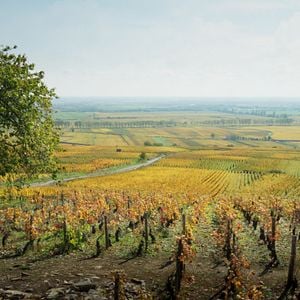 Foto De volta à Borgonha