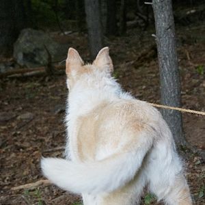 Foto Ao Cair da Noite