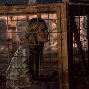 Foto O Despertar do Psicopata