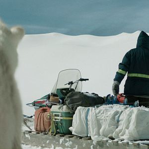 Foto Corações Gelados