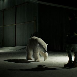 Foto Corações Gelados