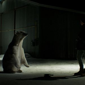 Foto Corações Gelados