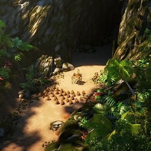 Foto Uma Floresta Muito Louca