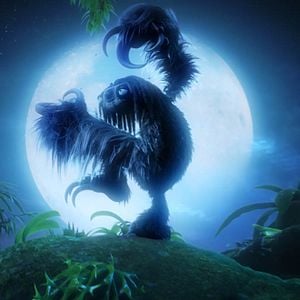 Foto Uma Floresta Muito Louca