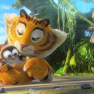 Foto Uma Floresta Muito Louca