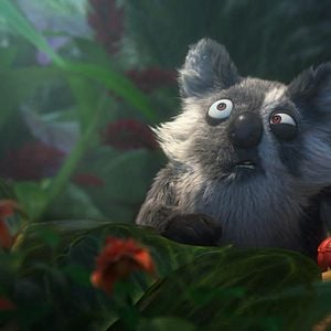 Foto Uma Floresta Muito Louca