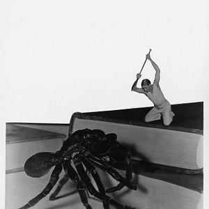 Foto O Incrível Homem que Encolheu