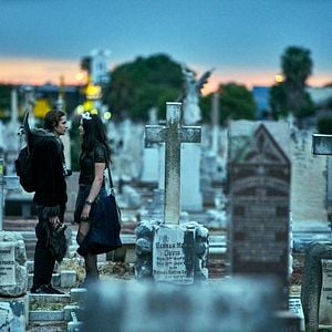 Foto Os Garotos nas Árvores