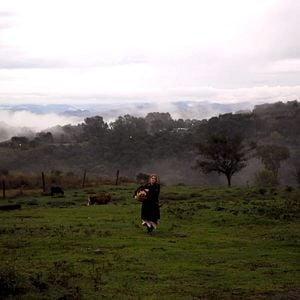 Foto O Filme da Minha Vida