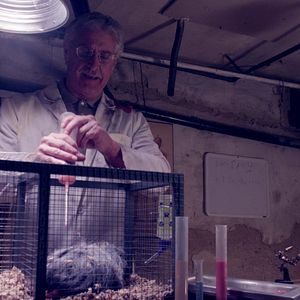 Foto O Ataque Dos Donuts Assasinos