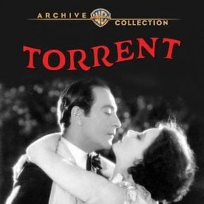 Foto Laranjais em Flor