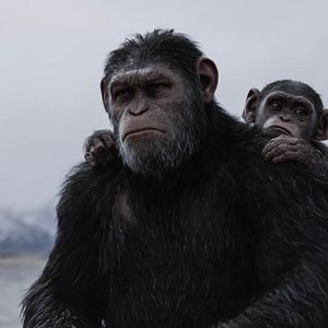 Foto Planeta dos Macacos: A Guerra