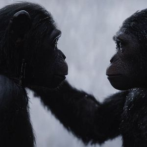 Foto Planeta dos Macacos: A Guerra