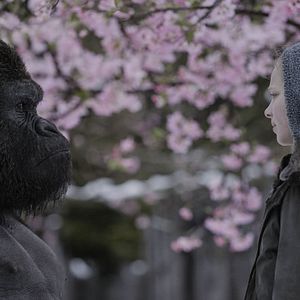 Foto Planeta dos Macacos: A Guerra