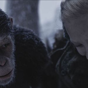 Foto Planeta dos Macacos: A Guerra