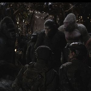 Foto Planeta dos Macacos: A Guerra