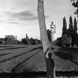 Foto Robert Doisneau - O Maior Fotógrafo do Século
