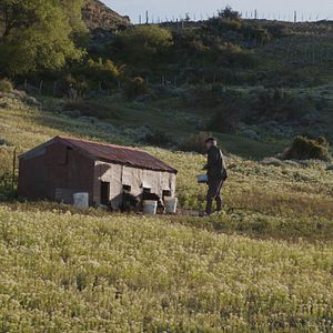 Foto Alejandro Sieveking