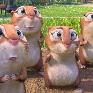 Foto O Que Será de Nozes 2