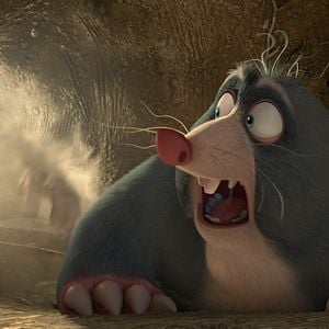 Foto O Que Será de Nozes 2