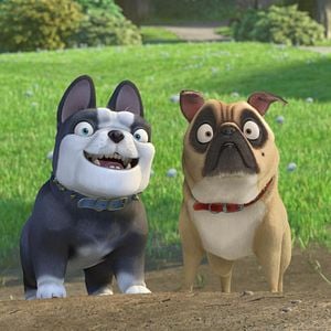 Foto O Que Será de Nozes 2