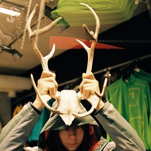 Foto Noites Brilhantes