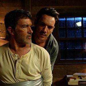 Foto Borboleta Negra