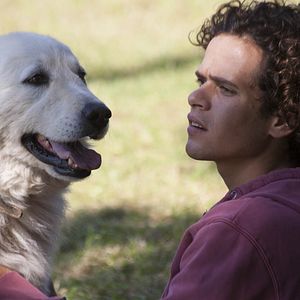 Foto Sobre Viagens e Amoress﻿