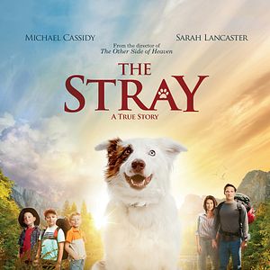 Foto Uma Aventura e Tanto