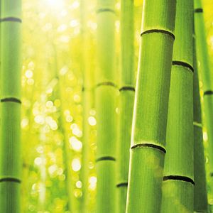 Foto LEGO Ninjago: O Filme