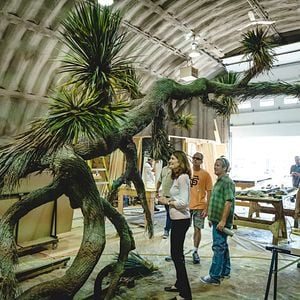 Foto O Castelo de Vidro