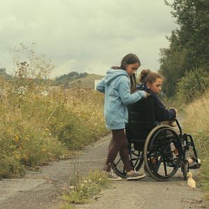 Foto Os Pássaros Migratórios