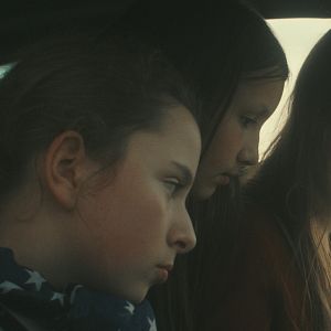 Foto Os Pássaros Migratórios