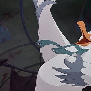 Foto Bernardo e Bianca na Terra dos Cangurus