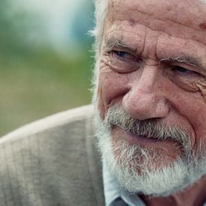 Foto A jornada final