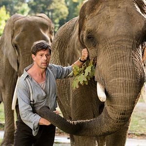 Foto O Zoológico de Varsóvia