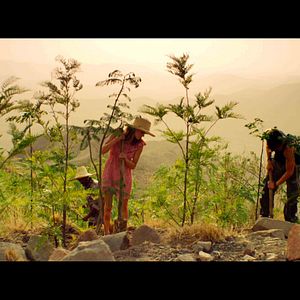 Foto Um Jardim Especial