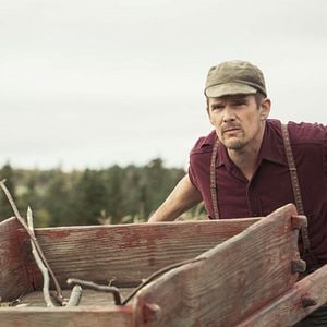 Foto Maudie - Sua Vida e Sua Arte