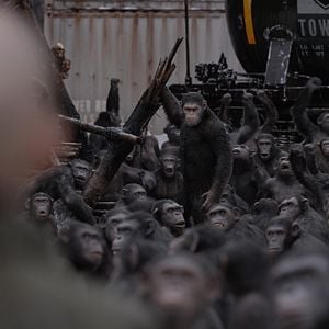 Foto Planeta dos Macacos: A Guerra